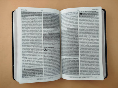 Biblia promesas negra canto plateado sin cierre