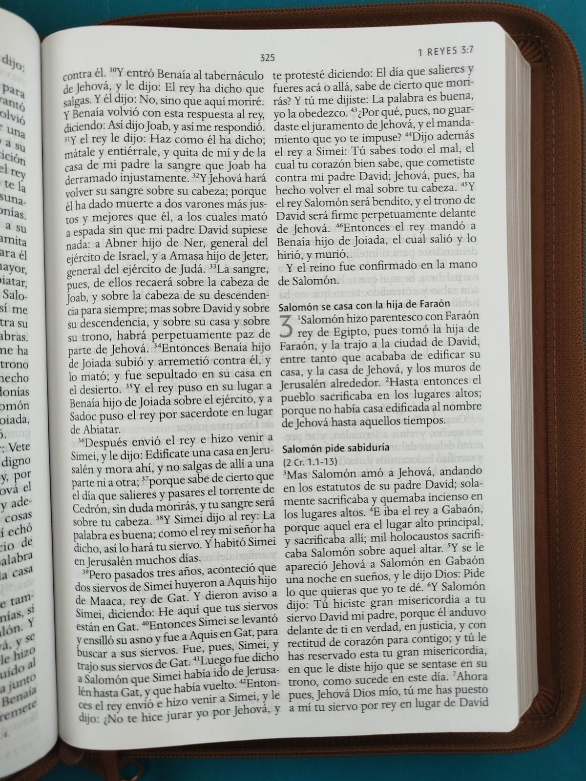 Biblia rvr 1960 letra grande tipo agenda marrón miel con cierre e imágenes de la tierra santa by Reina Valera 1960