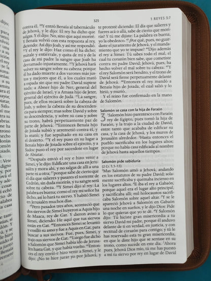 Biblia rvr 1960 letra grande tipo agenda marrón miel con cierre e imágenes de la tierra santa by Reina Valera 1960