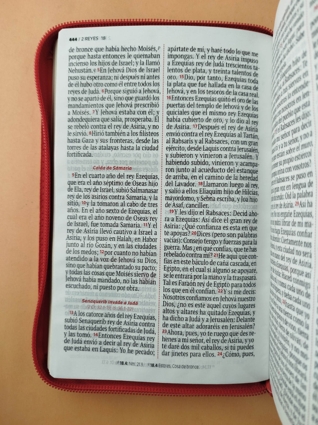 Biblia rvr letra grande salmón borde dorado by Reina Valera 1960
