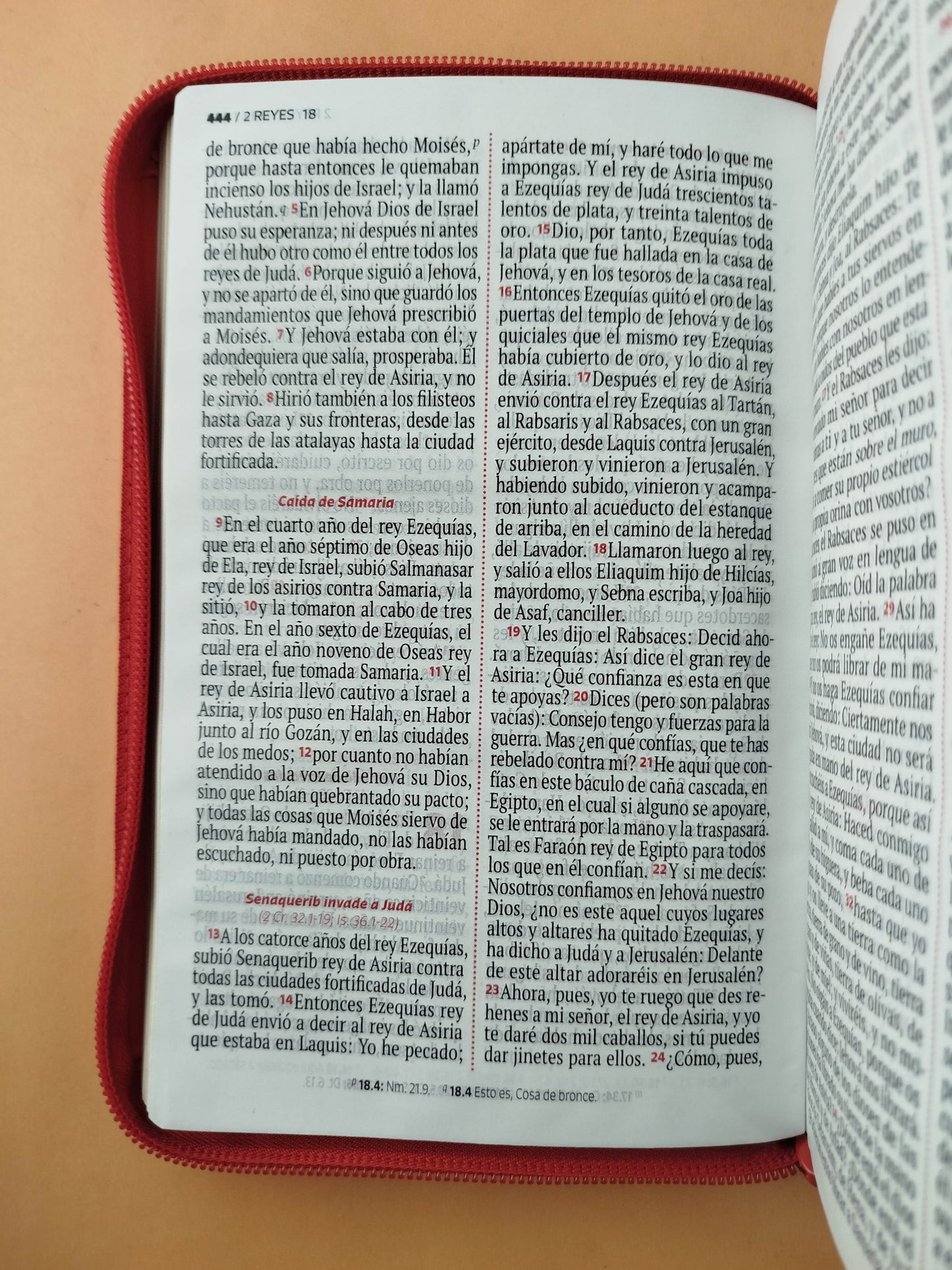 Biblia rvr letra grande salmón borde dorado