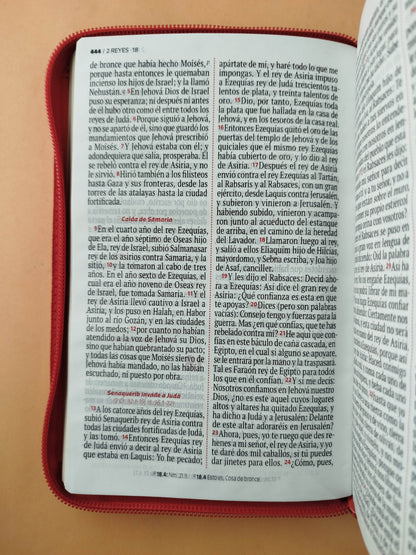 Biblia rvr letra grande salmón borde dorado