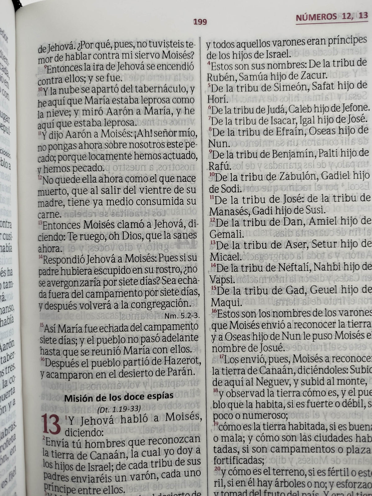 Biblia reina Valera letra grande con índice negro by Dios habla hoy