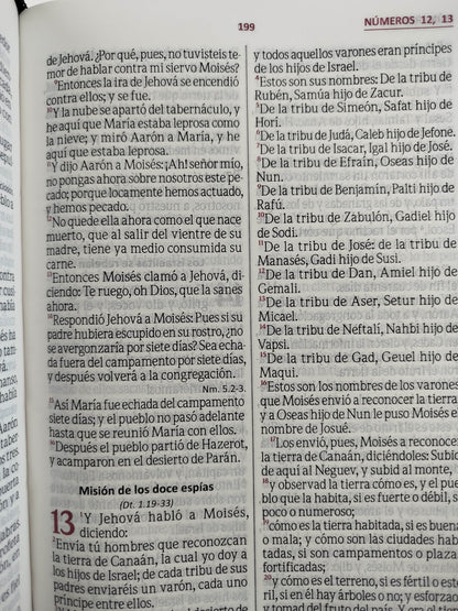 Biblia reina Valera letra grande con índice negro by Dios habla hoy