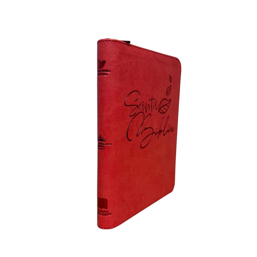 Biblia rvr letra grande salmón borde dorado by reina valera 1960