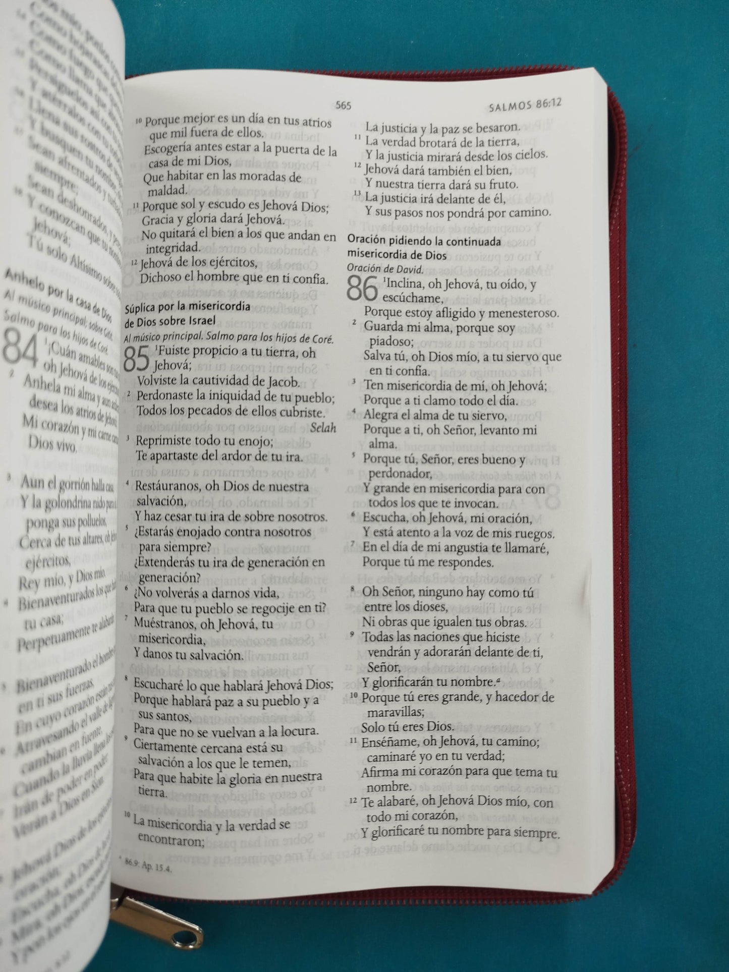Biblia RVR 1960 Letra Grande Estuche vino tinto con Mariposas