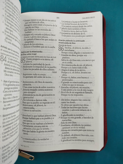 Biblia RVR 1960 Letra Grande Estuche vino tinto con Mariposas
