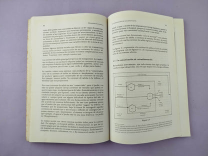 Introduccion A La Teoría General De Sistemas
