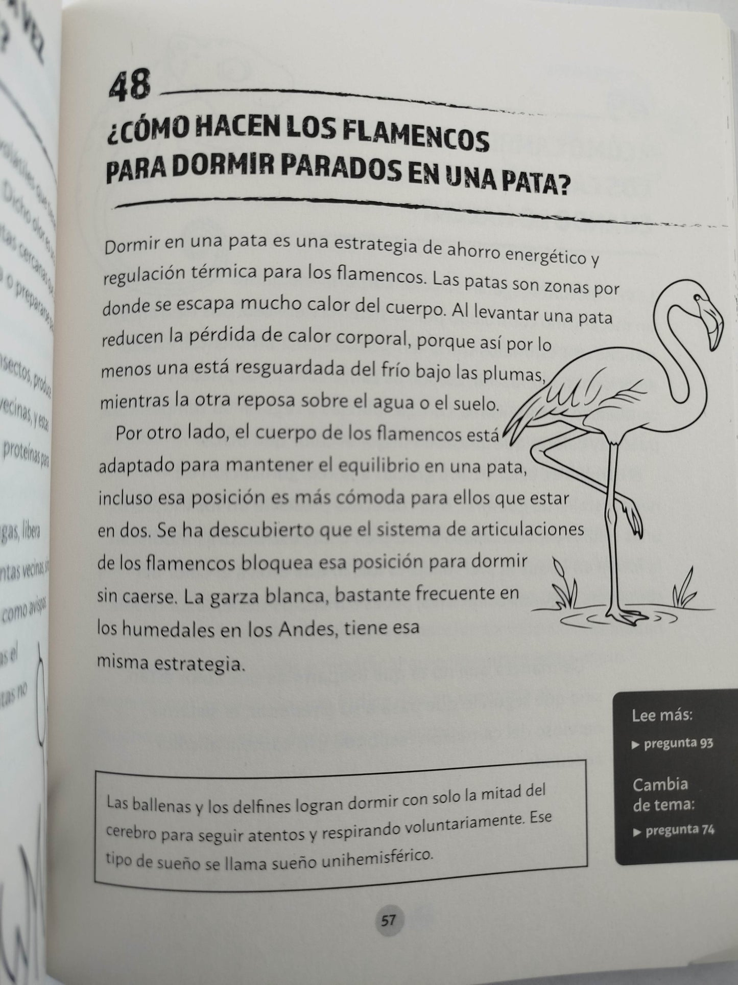 Preguntas salvajes para volarte la cabeza by Liliana López Kleine
