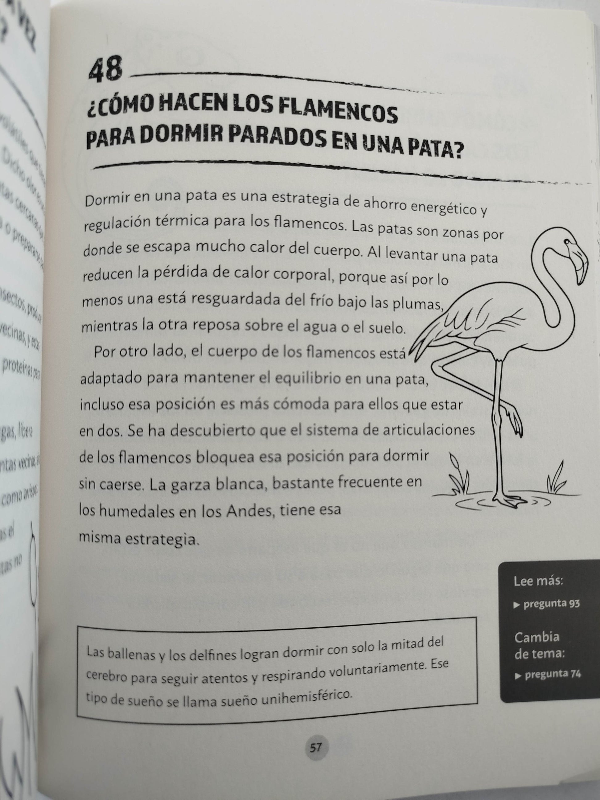 Preguntas salvajes para volarte la cabeza by Liliana López Kleine