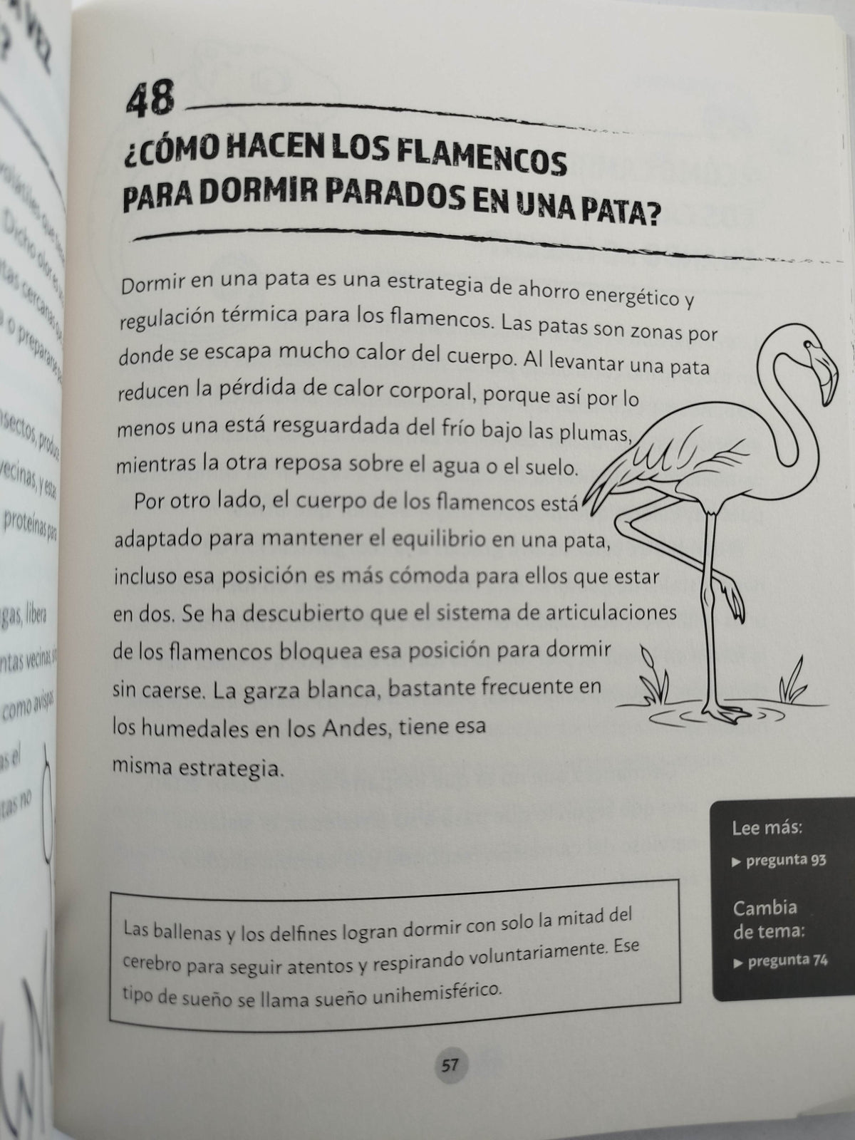 Preguntas salvajes para volarte la cabeza by Liliana López Kleine