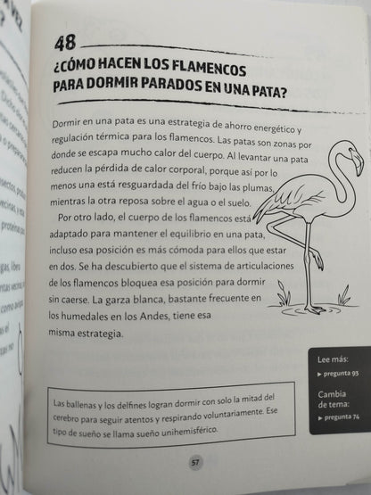 Preguntas salvajes para volarte la cabeza by Liliana López Kleine
