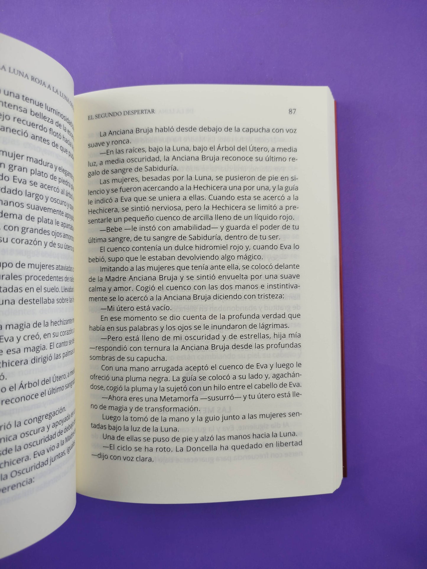 De la luna roja a la luna oscura El viaje espiritual de la menopausia