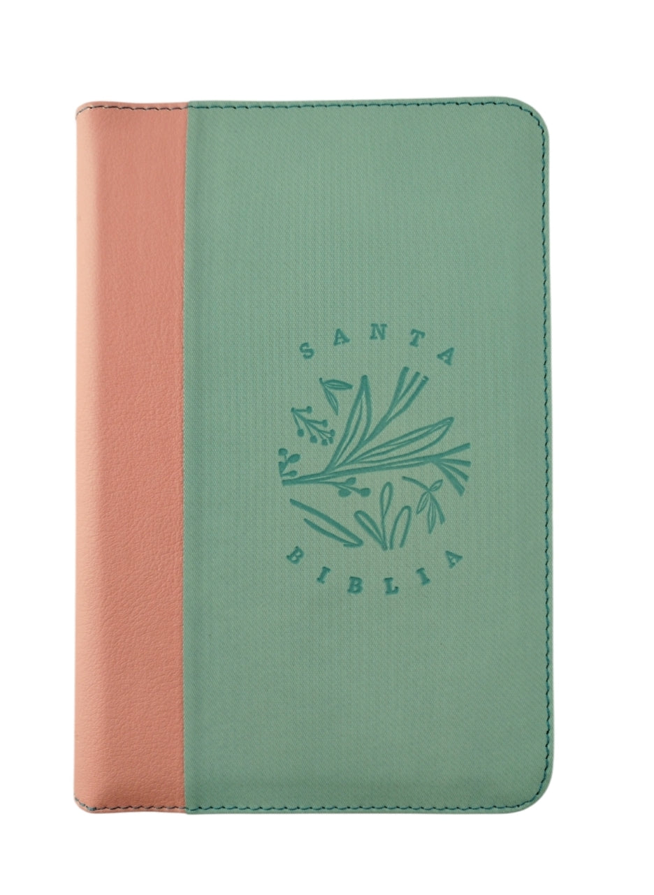 Biblia rvr 1960 letra gigante con forro rosado-verde menta by Reina Valera 1960