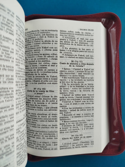 Biblia nácar colunga pequeña cierre by Eloino Nacar Y Alberto Colunga