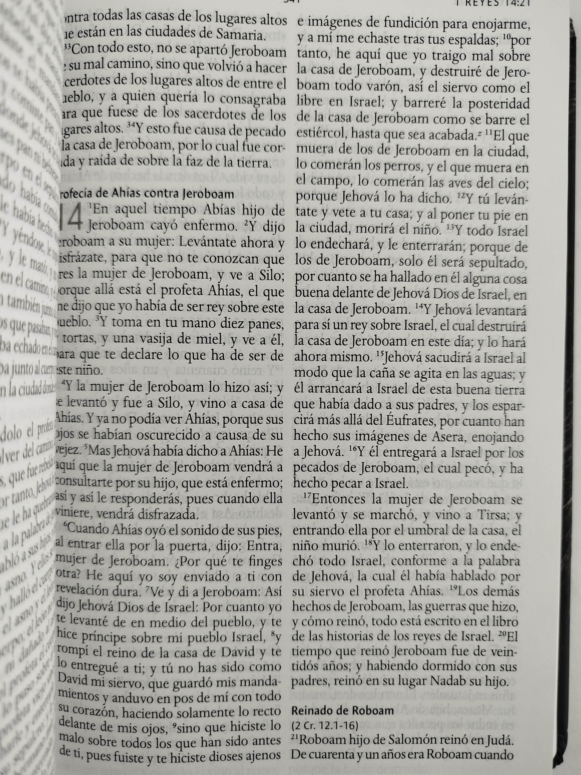 Biblia rvr 1960 letra grande tamaño manual tapa dura león de judá con imágenes de la tierra santa by Reina Valera 1960