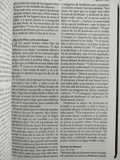 Biblia rvr 1960 letra grande tamaño manual tapa dura león de judá con imágenes de la tierra santa by Reina Valera 1960