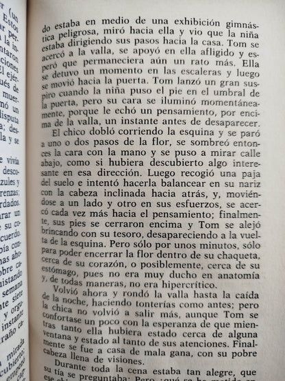 Aventuras de Tom Sawyer by Mark Twain