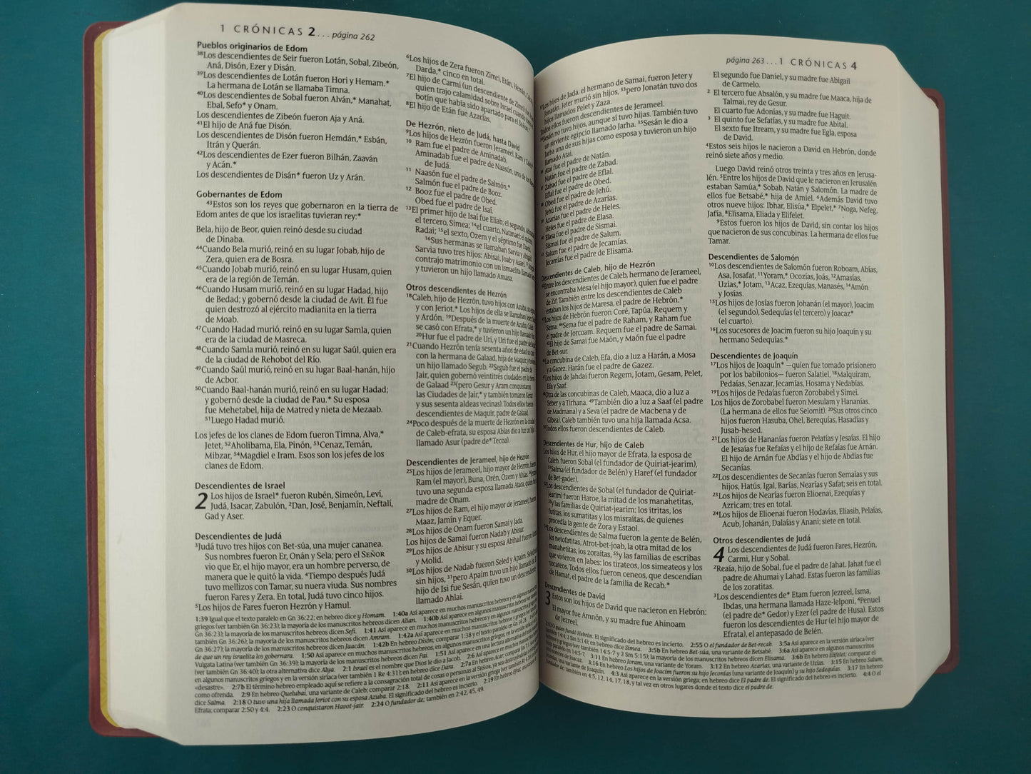 Biblia NTV Edición premio y regalo vino tinto