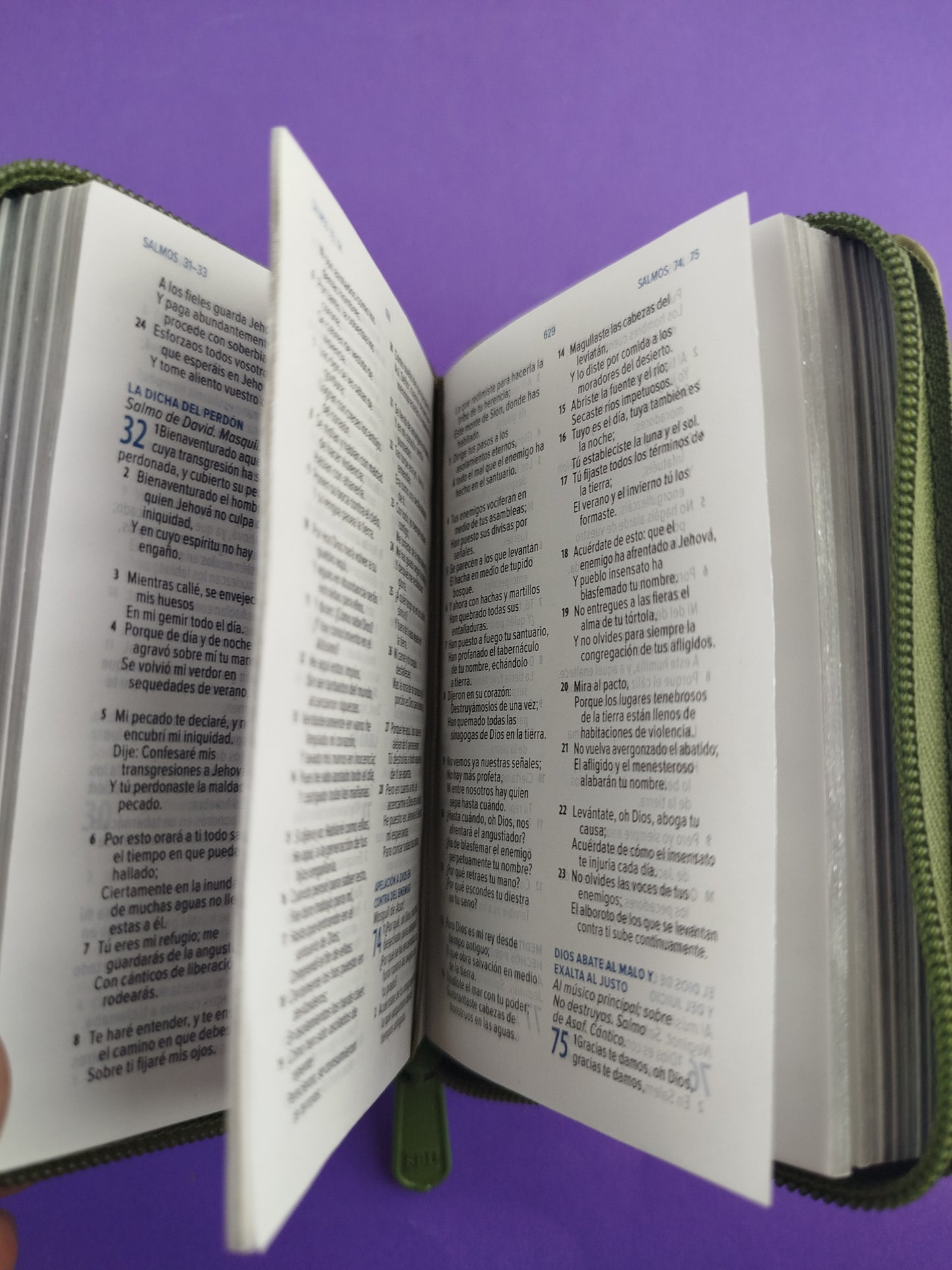 Biblia mini verde con cierre canto plateado