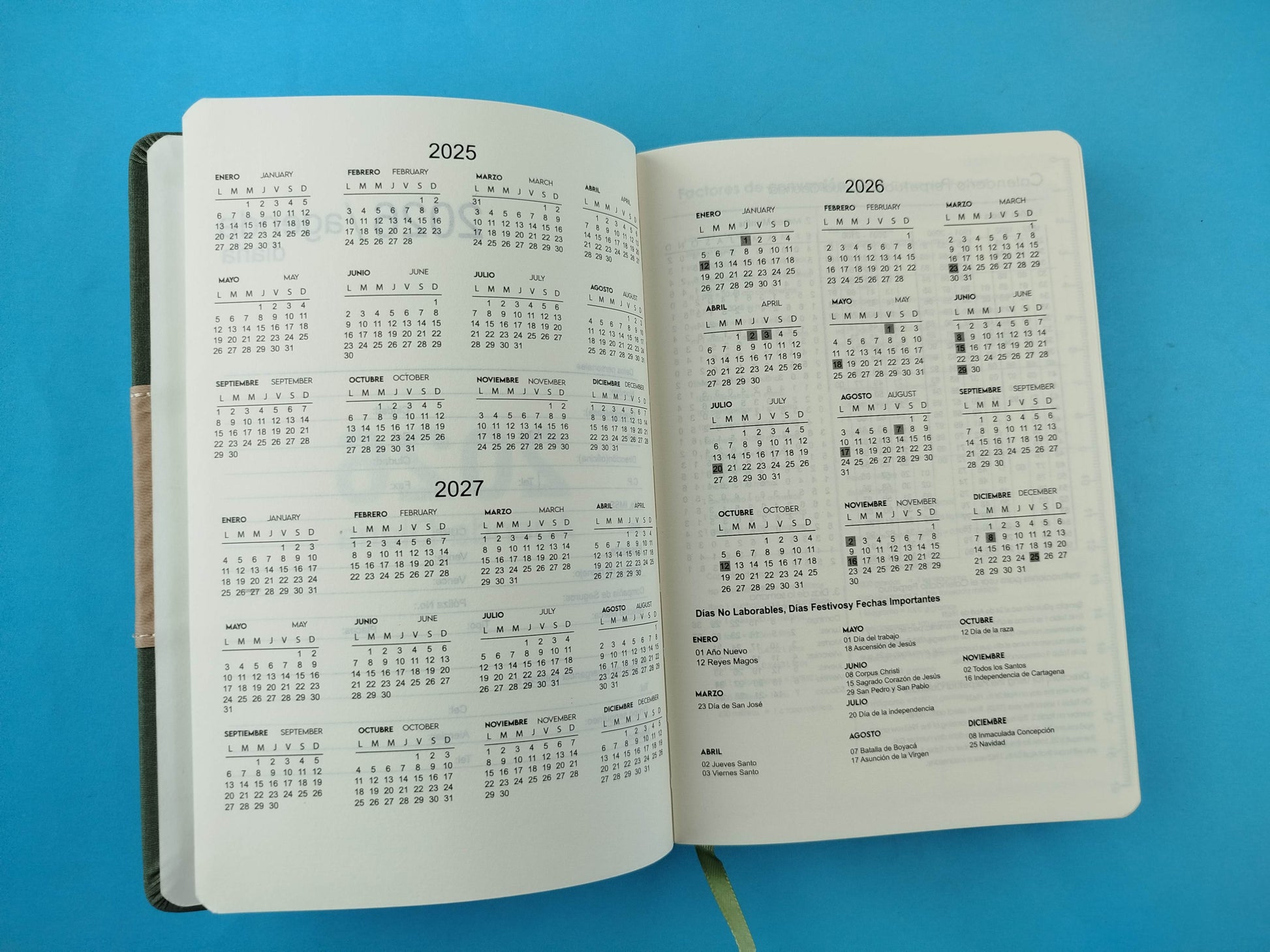 Agenda ejecutiva 2026 notebook Rosa pastel by Varios