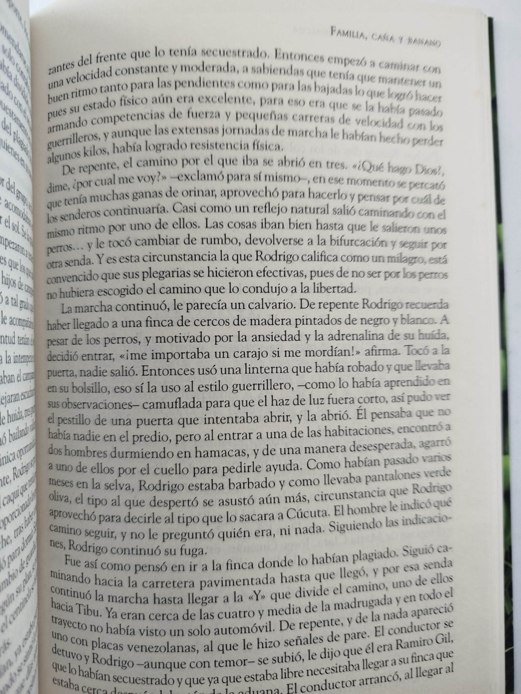 Familia, Caña Y Banano by Sonia Milena Jaimes