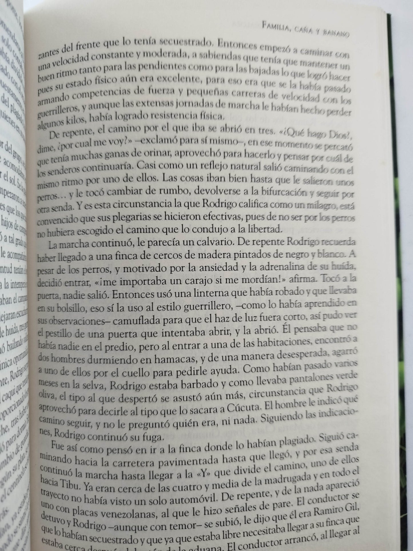 Familia, Caña Y Banano by Sonia Milena Jaimes