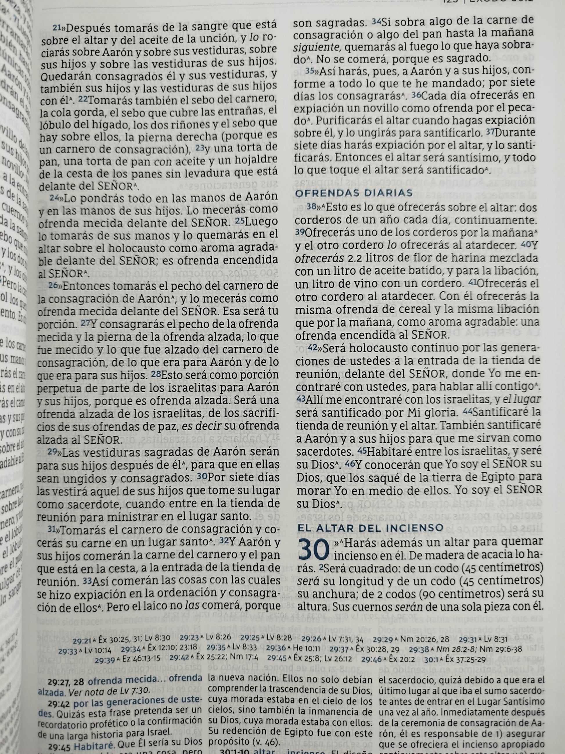 Biblia de estudio Macarthur Nueva Biblia De Las Américas by Macarthur
