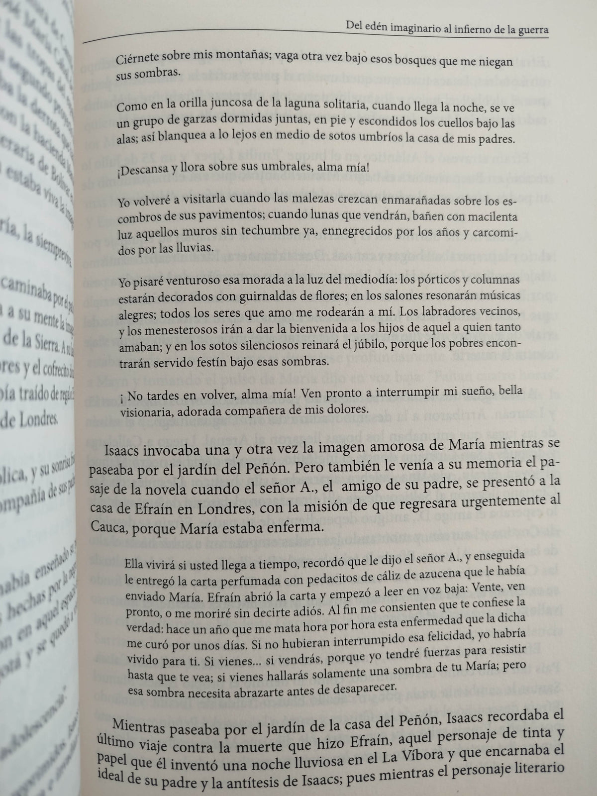 La Búsqueda Del Paraíso by Fabio Martínez