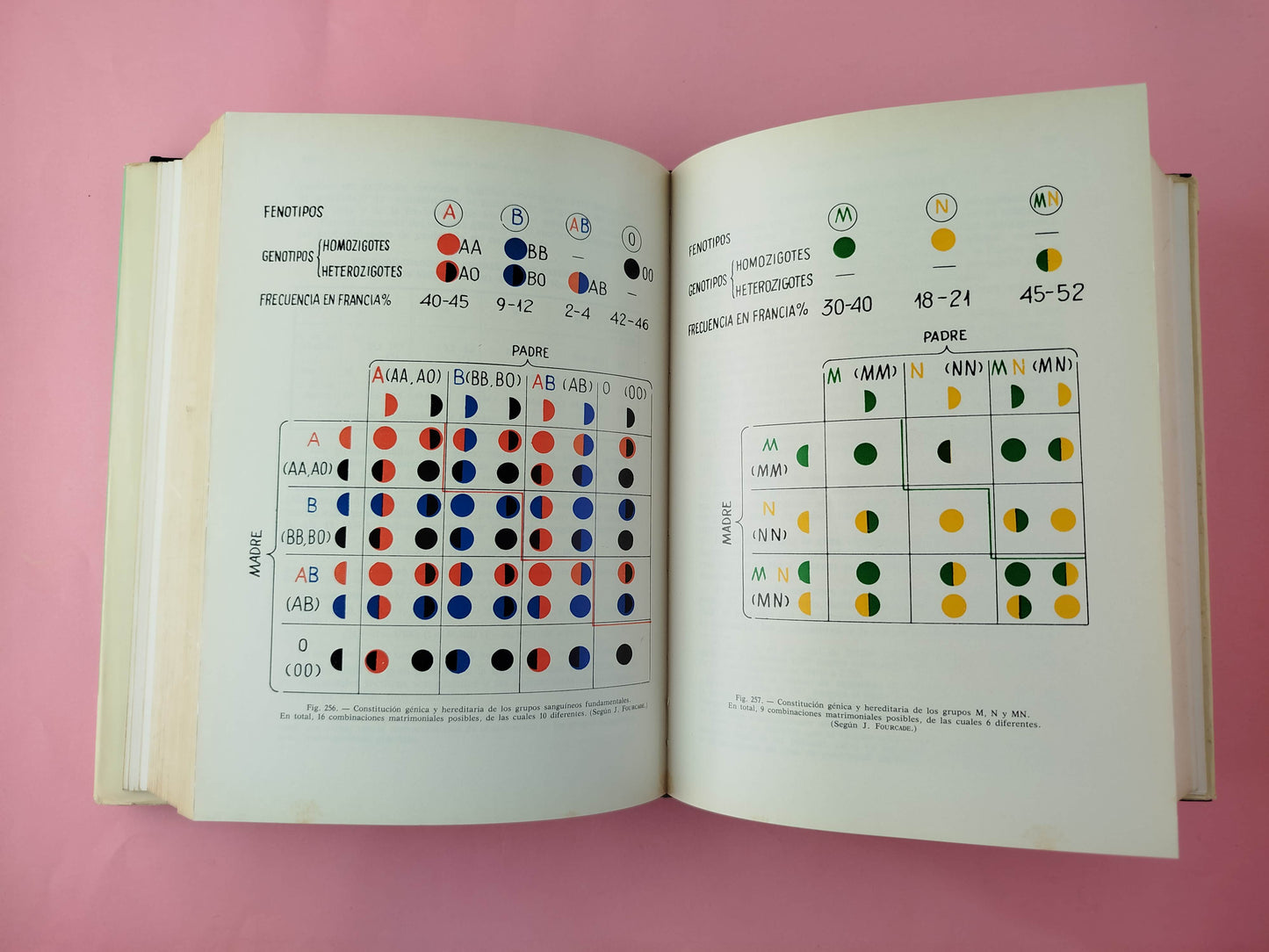 Medicina legal judicial