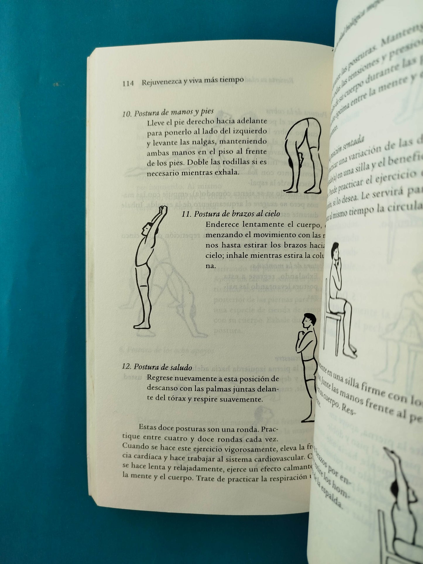 Rejuvenezca y viva más tiempo