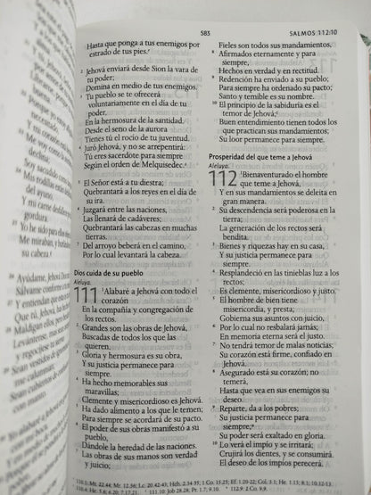 Biblia rvr 1960 nombres de Dios celeste flores tapa dura by Reina Valera 1960