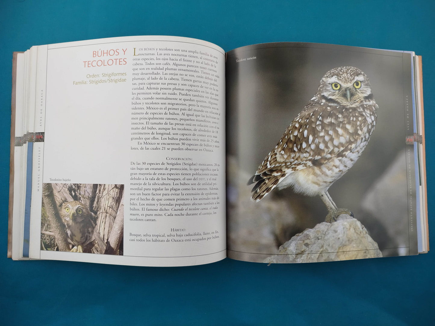 Aves de Oaxaca by Manuel Grosselet