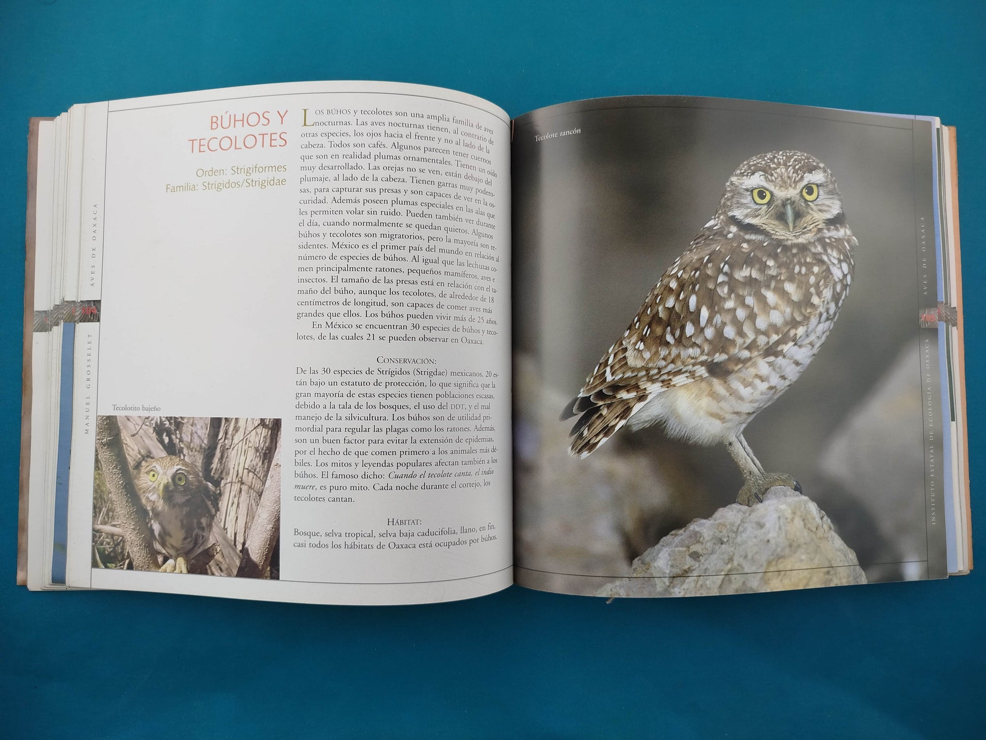 Aves de Oaxaca by Manuel Grosselet