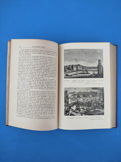 Vida azarosa de Lope de Vega