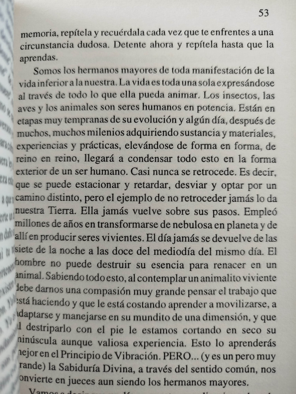 Metafísica 4 en 1 by Conny Mendez