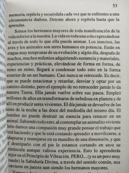 Metafísica 4 en 1 by Conny Mendez