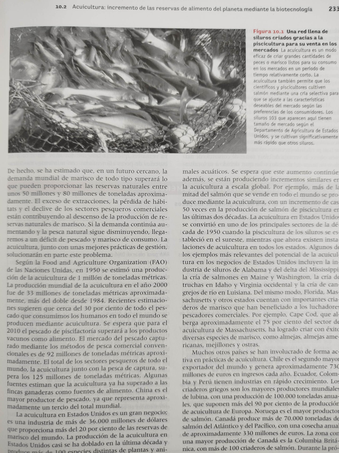Introducción a la biotecnología by William J Thieman