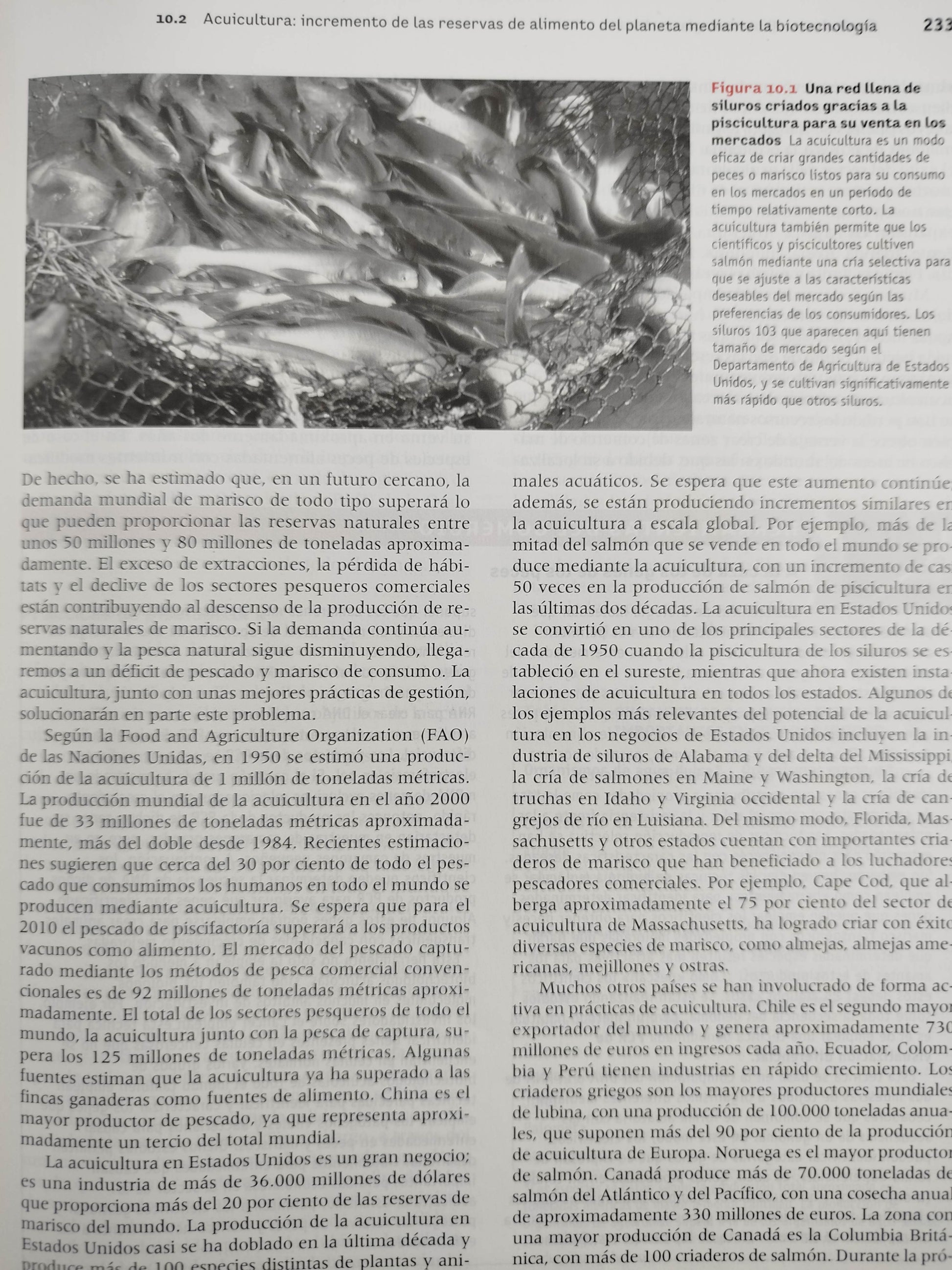 Introducción a la biotecnología by William J Thieman