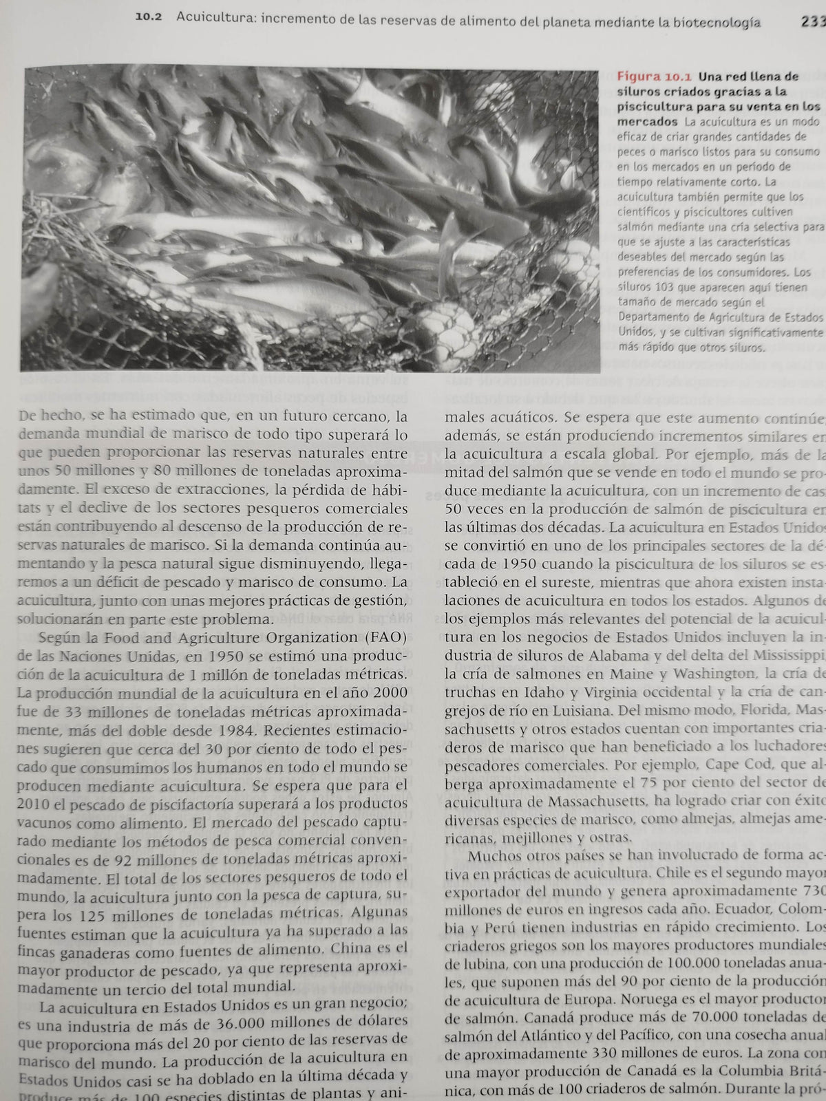Introducción a la biotecnología by William J Thieman