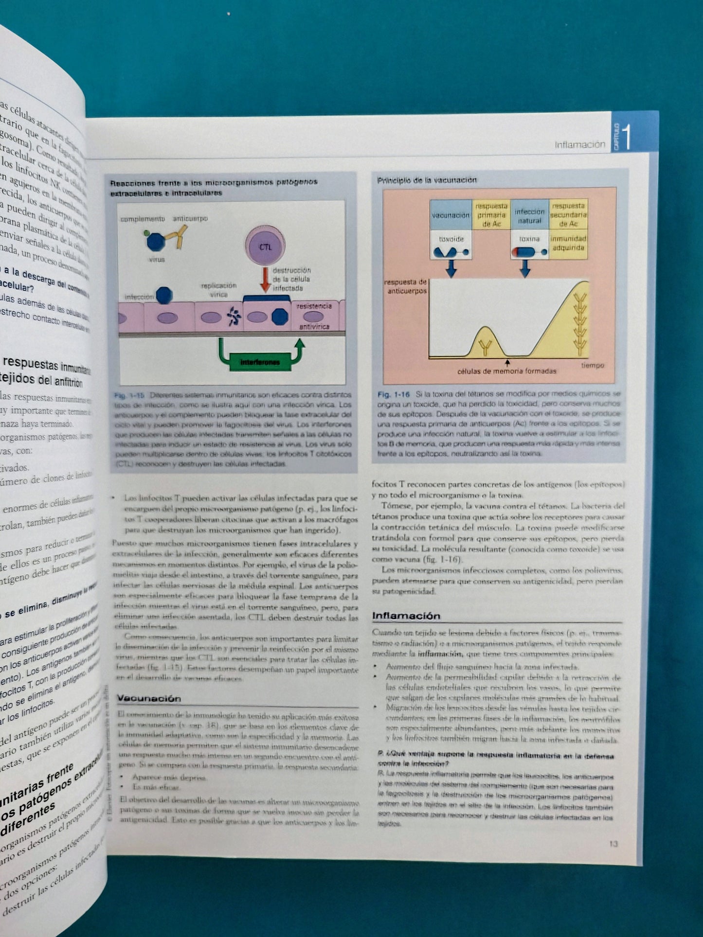 Inmunología octava edición
