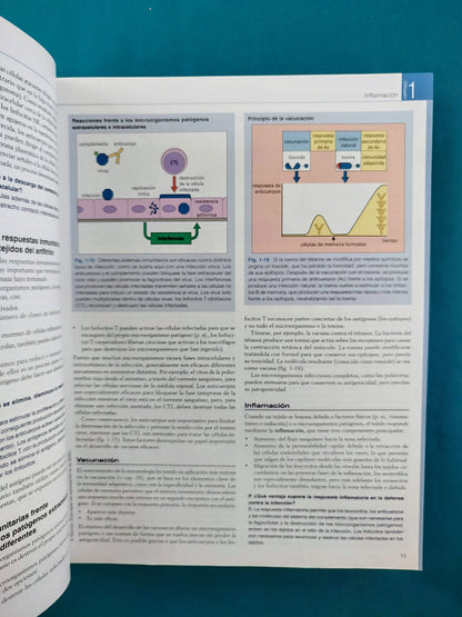 Inmunología octava edición