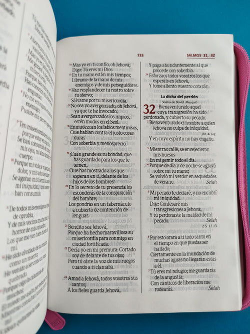 Biblia rvr troquelada fucsia rosa by Reina Valera 1960