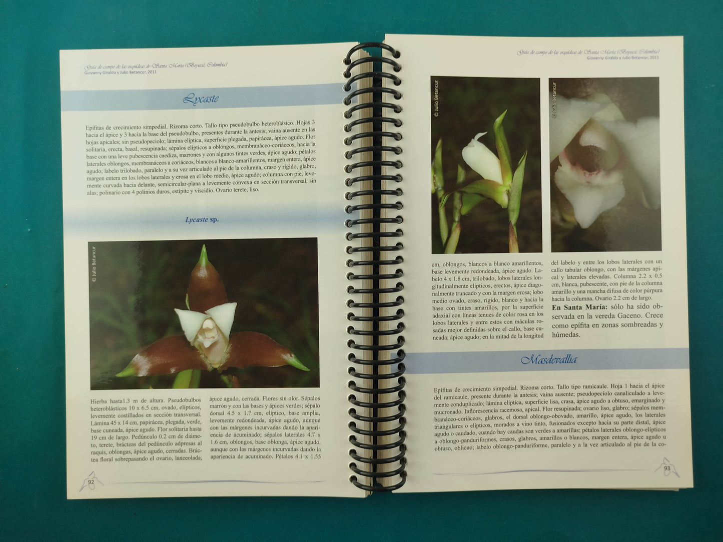 guia de campo de las orquideas de santa maria