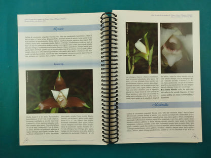 guia de campo de las orquideas de santa maria