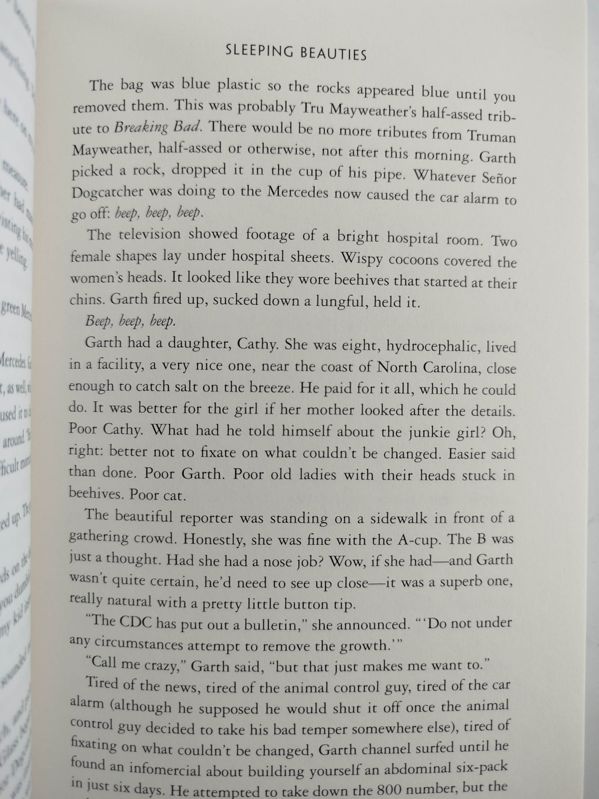 Sleeping beauties by Stephen King