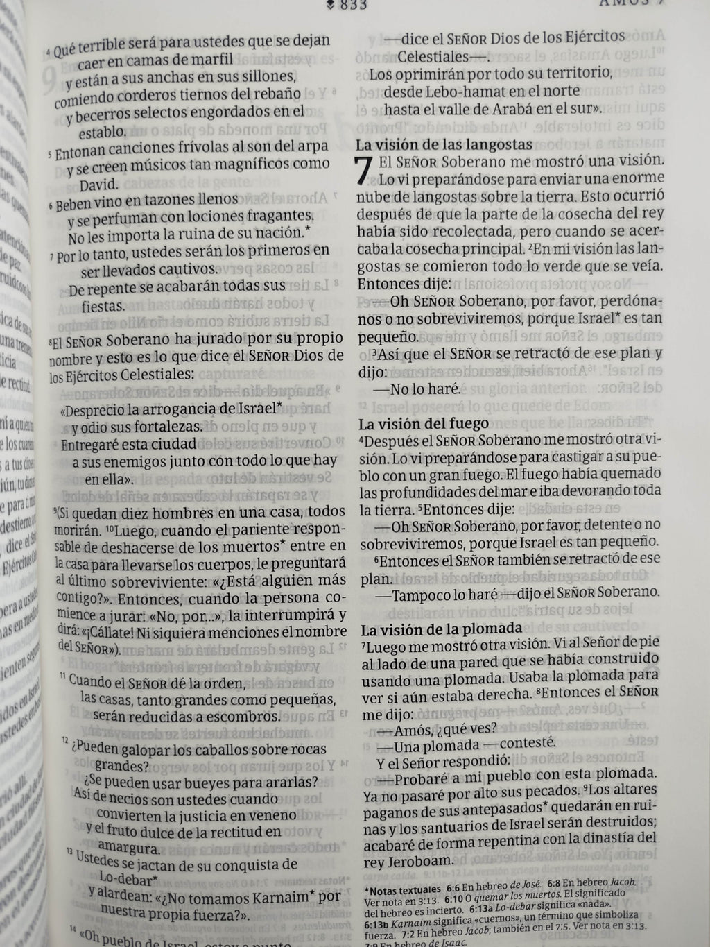 Biblia NTV rosada letra grande ultrafina filament by Tyndale