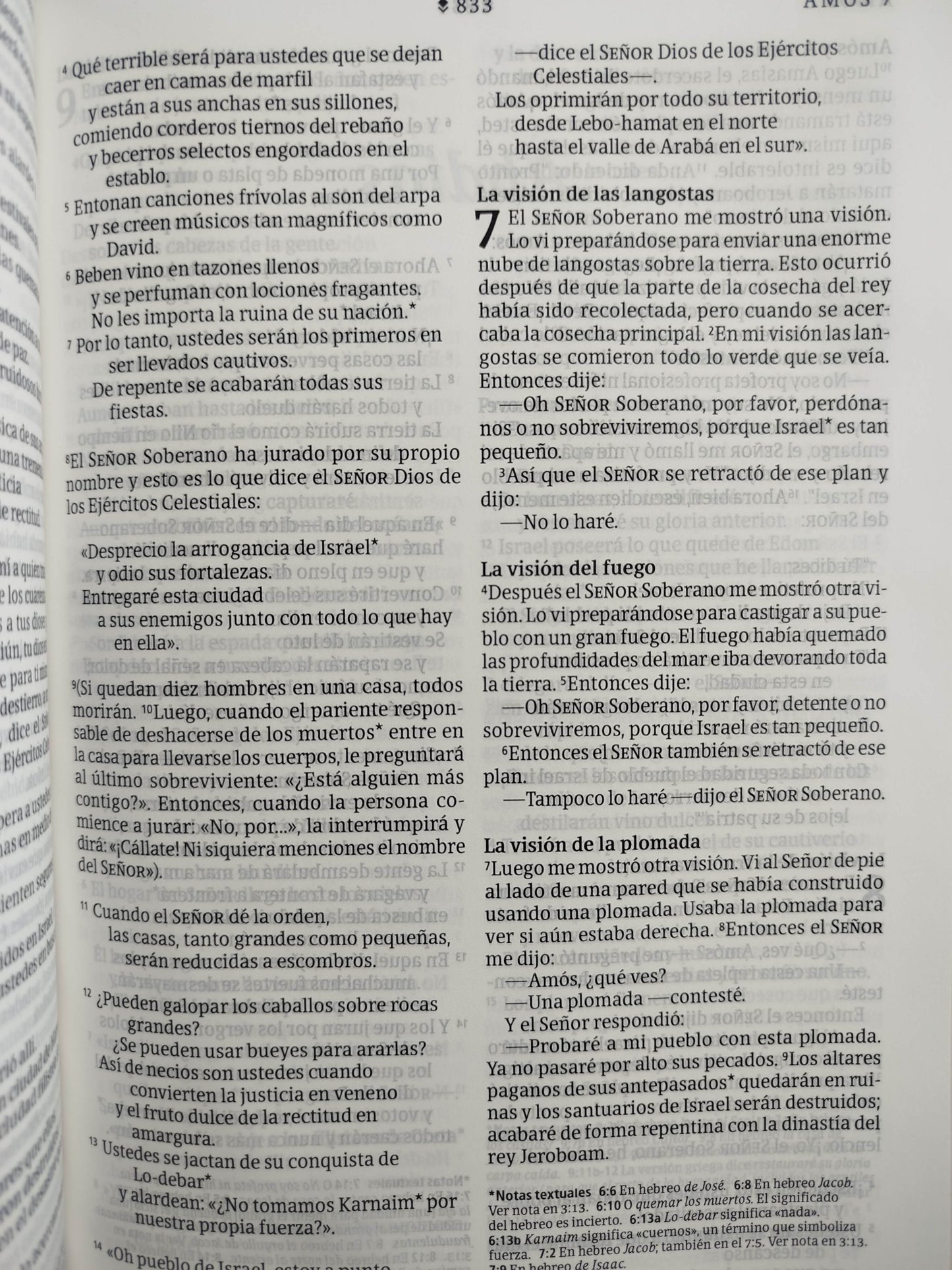 Biblia NTV rosada letra grande ultrafina filament by Tyndale