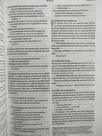 Biblia NTV rosada letra grande ultrafina filament by Tyndale