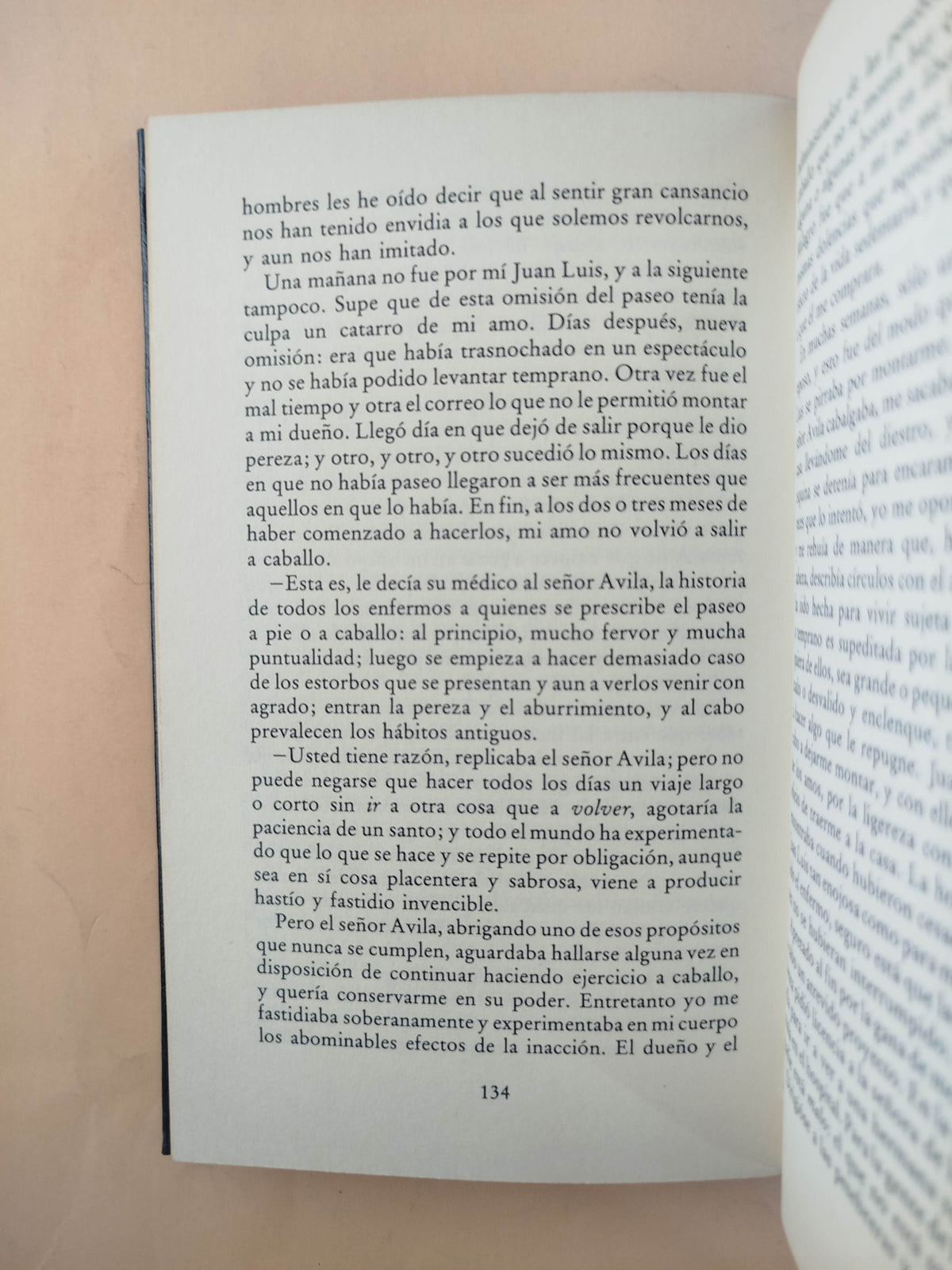 El moro by José Manuel Marroquín
